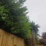 Powerwashing & Landscaping | Pressure Washing Service | Ground Maintenance | Property Maintenance | Ballyclare | Templepatrick | Northern Ireland | CDC Services NI
