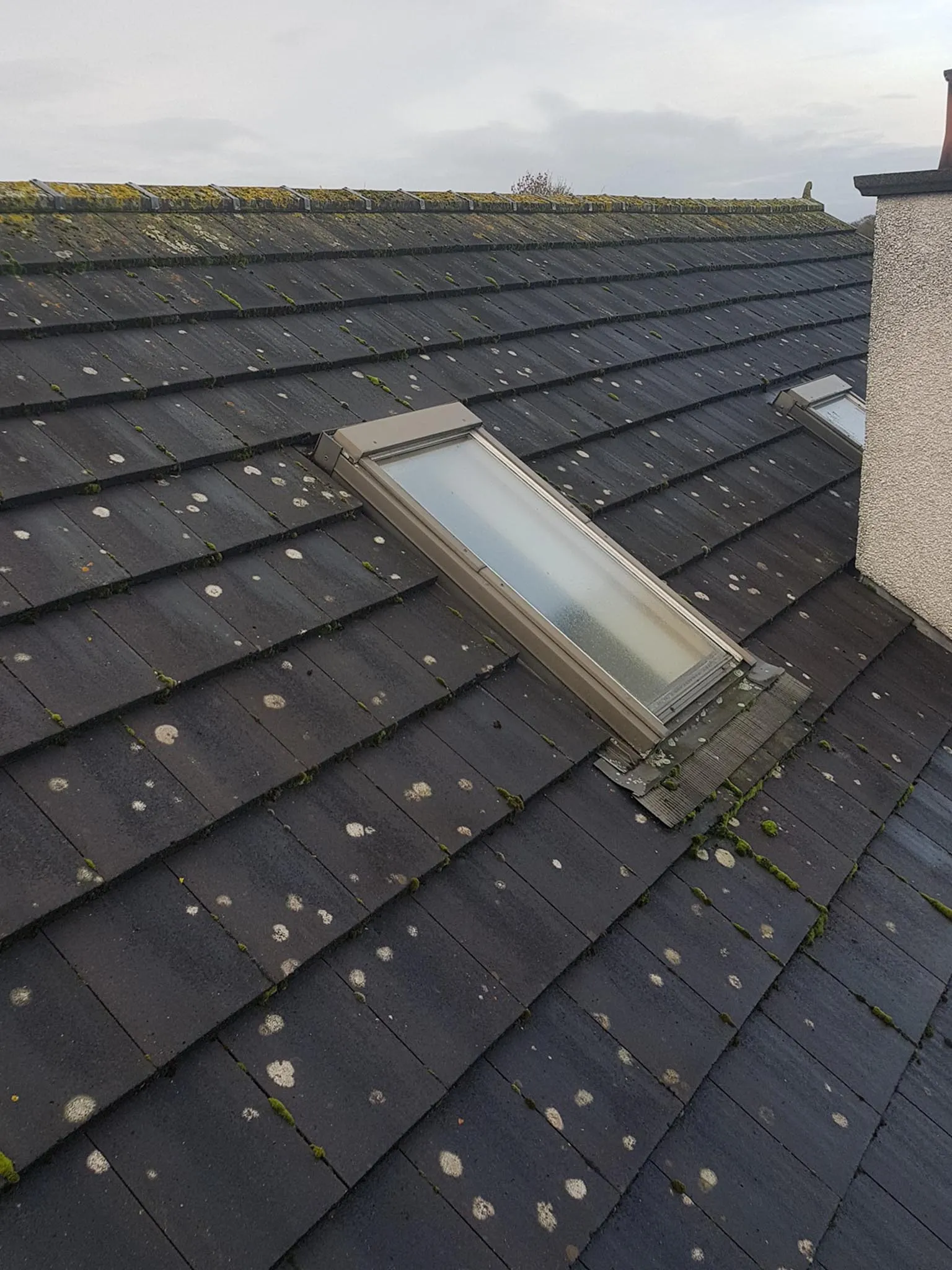 Powerwashing & Landscaping | Pressure Washing Service | Ground Maintenance | Property Maintenance | Ballyclare | Templepatrick | Northern Ireland | CDC Services NI