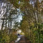 Powerwashing & Landscaping | Pressure Washing Service | Ground Maintenance | Property Maintenance | Ballyclare | Templepatrick | Northern Ireland | CDC Services NI