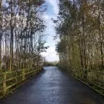 Powerwashing & Landscaping | Pressure Washing Service | Ground Maintenance | Property Maintenance | Ballyclare | Templepatrick | Northern Ireland | CDC Services NI